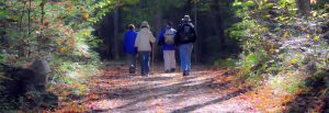 Randonneurs vers Compostelle